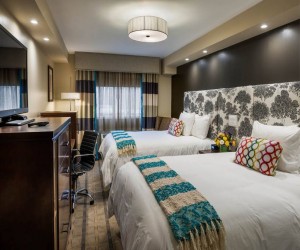Executive, Two Queen Bed Room